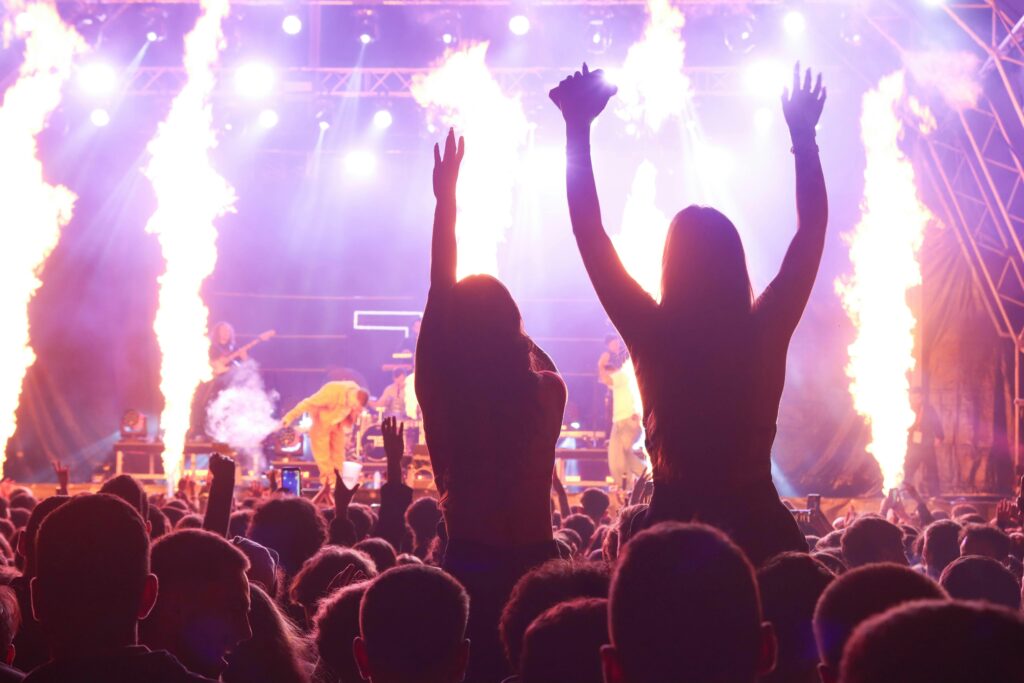 Lively concert crowd against a dazzling stage with fire effects, capturing the energy of live music.